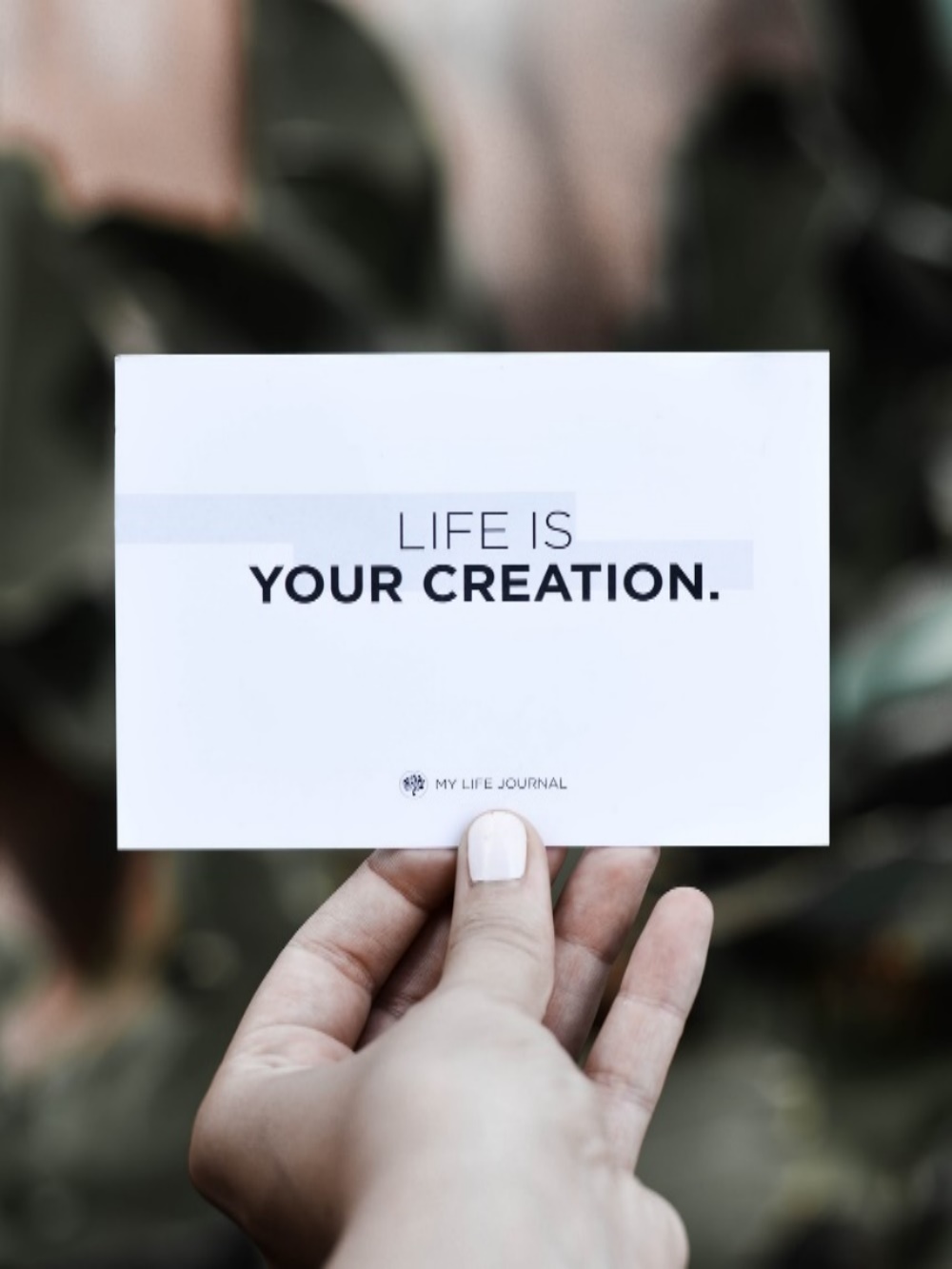 Your creation